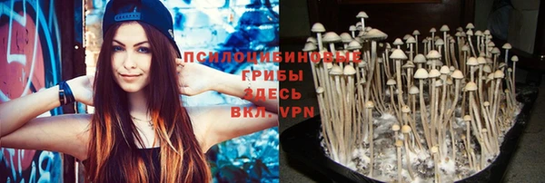 каннабис Баксан