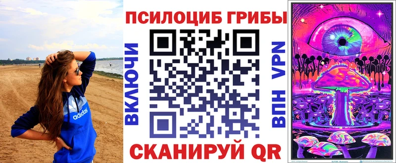 KRAKEN ССЫЛКА  Гаврилов Посад  Псилоцибиновые грибы GOLDEN TEACHER 